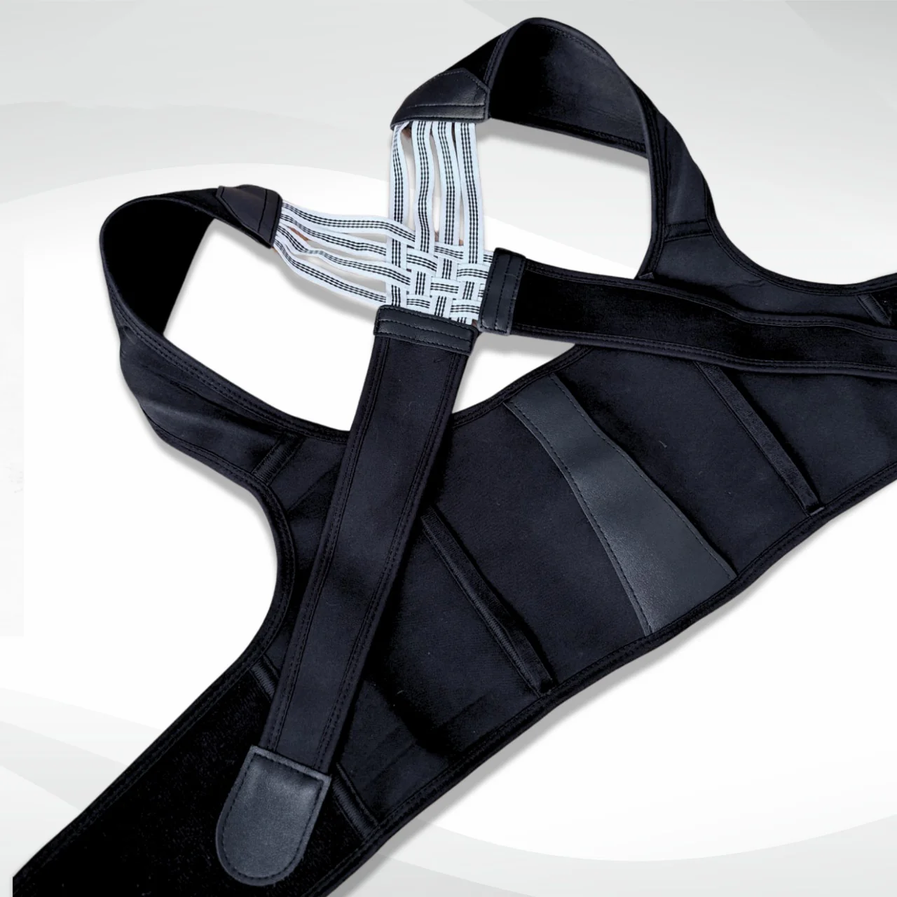 Zapacia Posture Pro